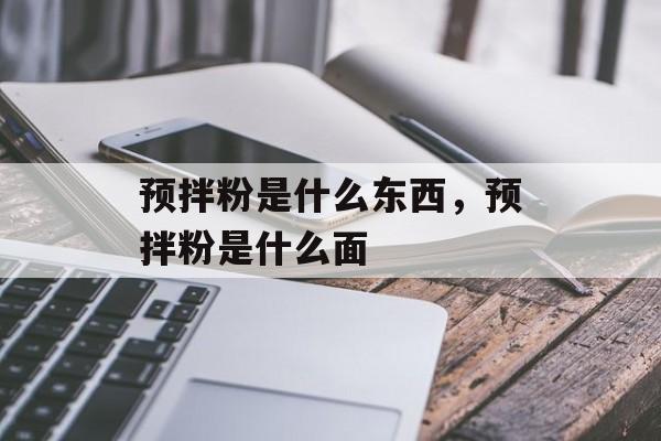 预拌粉是什么东西，预拌粉是什么面-第1张图片-