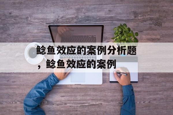 鲶鱼效应的案例分析题，鲶鱼效应的案例-第1张图片-