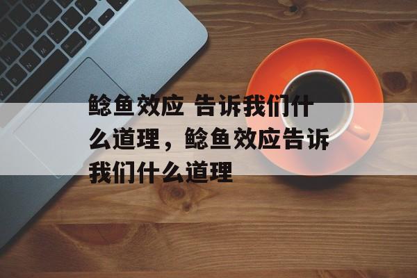 鲶鱼效应 告诉我们什么道理，鲶鱼效应告诉我们什么道理-第1张图片-