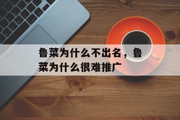 鲁菜为什么不出名，鲁菜为什么很难推广-第1张图片-