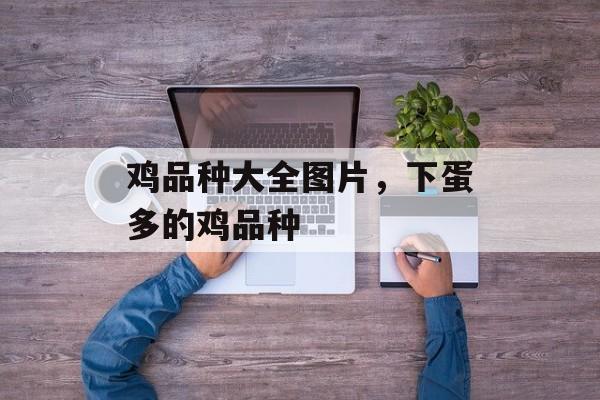 鸡品种大全图片，下蛋多的鸡品种-第1张图片-