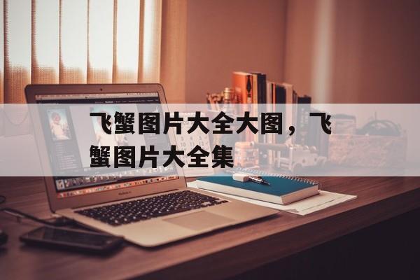 飞蟹图片大全大图，飞蟹图片大全集-第1张图片-