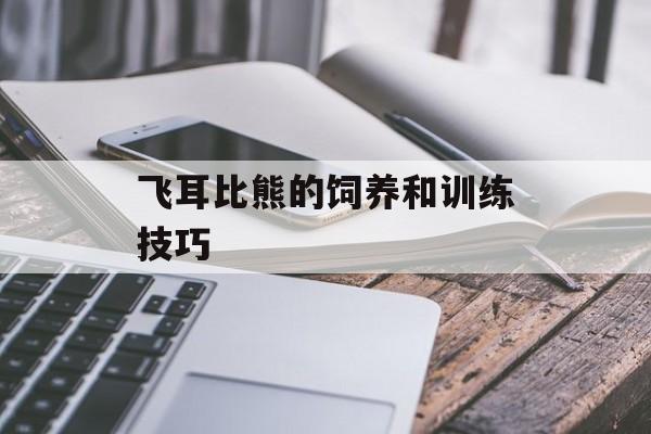 飞耳比熊的饲养和训练技巧-第1张图片-