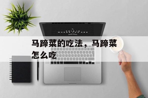 马蹄菜的吃法，马蹄菜怎么吃-第1张图片-