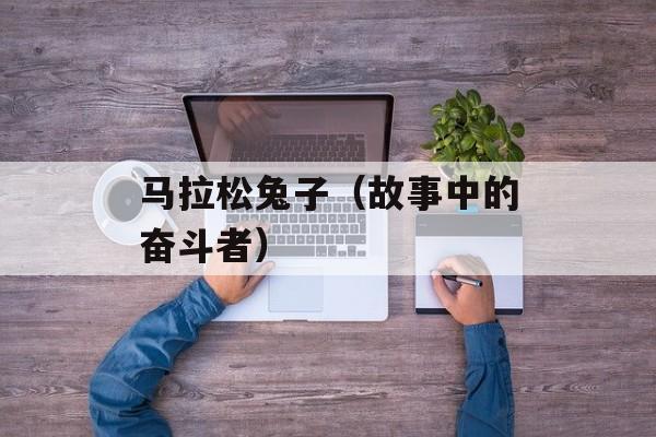 马拉松兔子（故事中的奋斗者）-第1张图片-