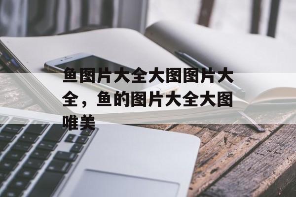 鱼图片大全大图图片大全，鱼的图片大全大图唯美-第1张图片-