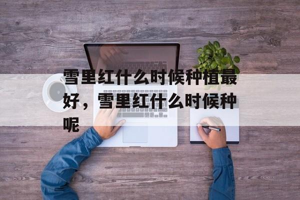 雪里红什么时候种植最好，雪里红什么时候种呢-第1张图片-