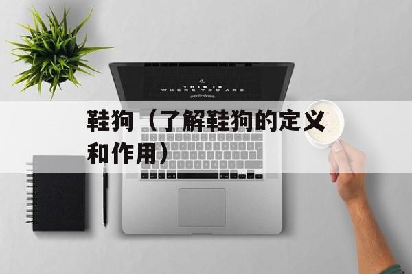 鞋狗（了解鞋狗的定义和作用）-第1张图片-