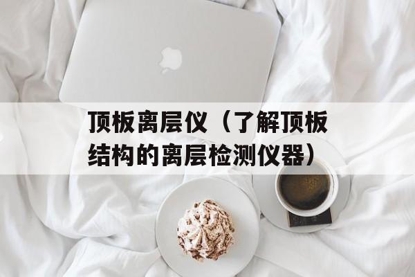 顶板离层仪（了解顶板结构的离层检测仪器）-第1张图片-