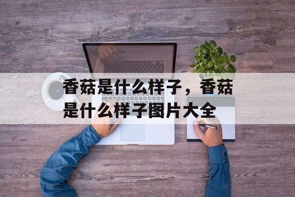 香菇是什么样子，香菇是什么样子图片大全-第1张图片-