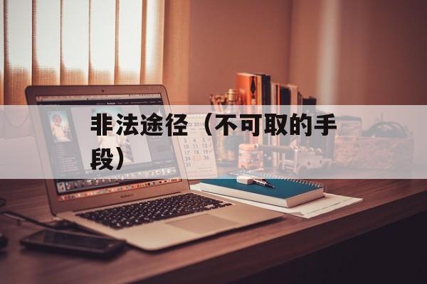 非法途径（不可取的手段）-第1张图片-