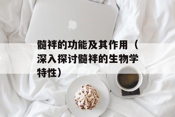 髓袢的功能及其作用（深入探讨髓袢的生物学特性）-第1张图片-