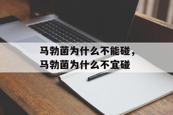 马勃菌为什么不能碰，马勃菌为什么不宜碰-第1张图片-