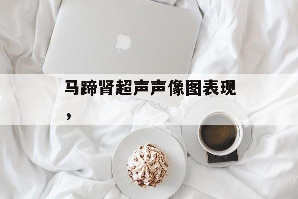 马蹄肾超声声像图表现，-第1张图片-