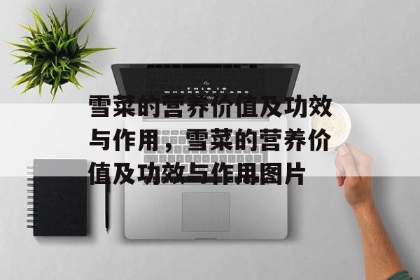 雪菜的营养价值及功效与作用，雪菜的营养价值及功效与作用图片-第1张图片-