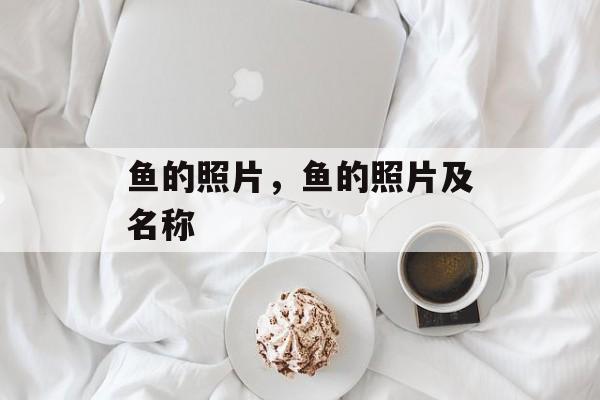 鱼的照片，鱼的照片及名称-第1张图片-