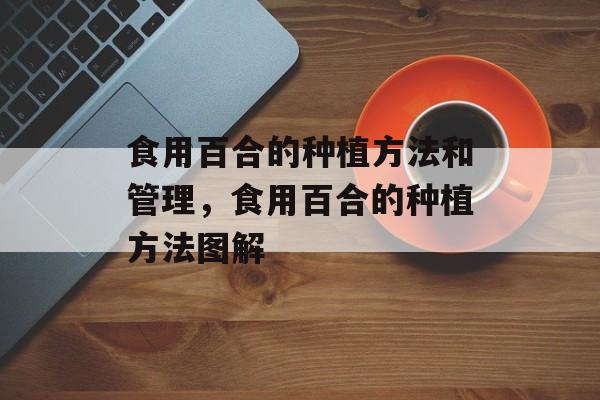 食用百合的种植方法和管理，食用百合的种植方法图解-第1张图片-