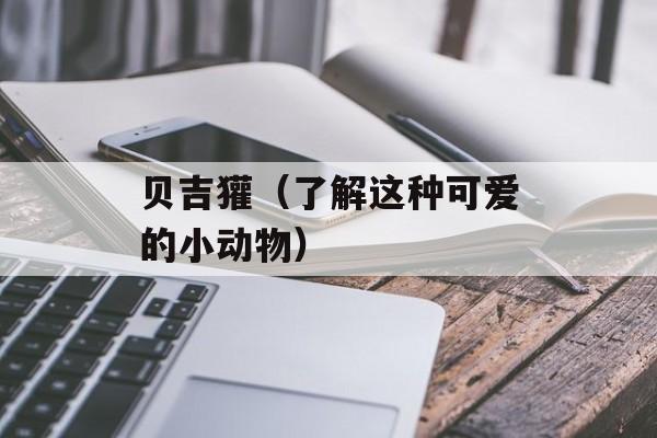 贝吉獾（了解这种可爱的小动物）-第1张图片-