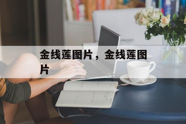 金线莲图片，金线莲图片-第1张图片-