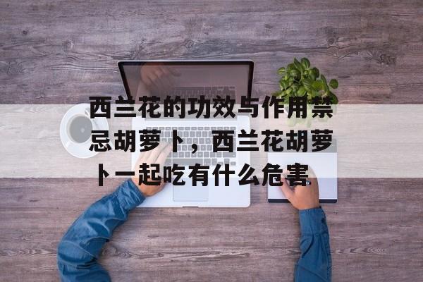 西兰花的功效与作用禁忌胡萝卜，西兰花胡萝卜一起吃有什么危害-第1张图片-