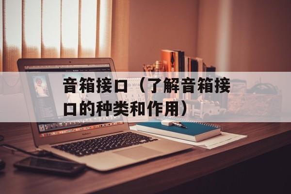 音箱接口（了解音箱接口的种类和作用）-第1张图片-