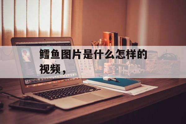 鳕鱼图片是什么怎样的视频，-第1张图片-