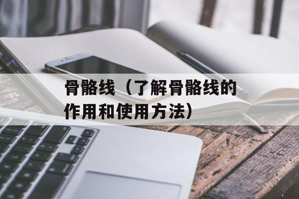 骨骼线（了解骨骼线的作用和使用方法）-第1张图片-