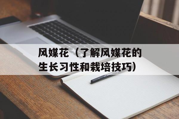 风媒花（了解风媒花的生长习性和栽培技巧）-第1张图片-