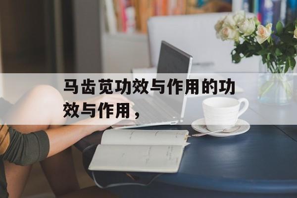 马齿苋功效与作用的功效与作用，-第1张图片-