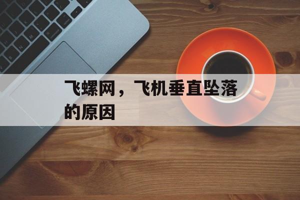 飞螺网，飞机垂直坠落的原因-第1张图片-