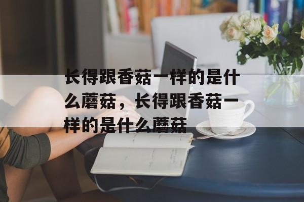 长得跟香菇一样的是什么蘑菇，长得跟香菇一样的是什么蘑菇-第1张图片-