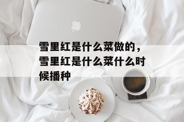 雪里红是什么菜做的，雪里红是什么菜什么时候播种-第1张图片-