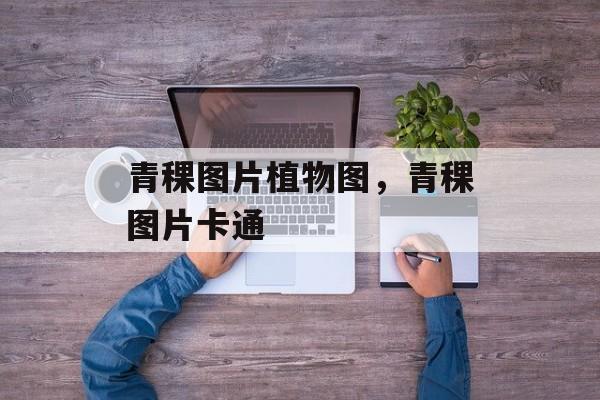 青稞图片植物图，青稞图片卡通-第1张图片-