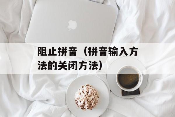 阻止拼音（拼音输入方法的关闭方法）-第1张图片-