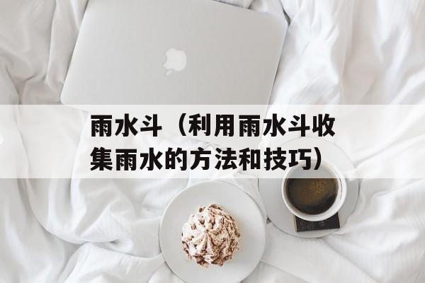 雨水斗（利用雨水斗收集雨水的方法和技巧）-第1张图片-