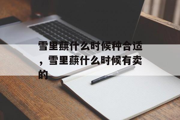 雪里蕻什么时候种合适，雪里蕻什么时候有卖的-第1张图片-