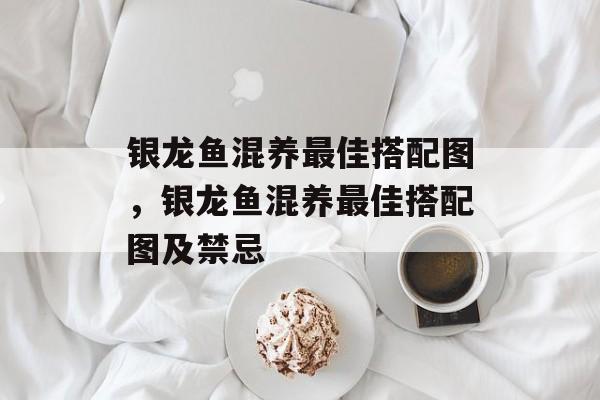 银龙鱼混养最佳搭配图，银龙鱼混养最佳搭配图及禁忌-第1张图片-