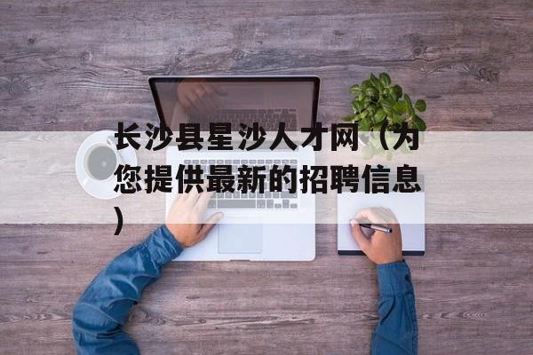 长沙县星沙人才网（为您提供最新的招聘信息）-第1张图片-