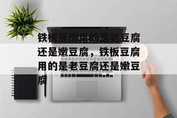 铁板豆腐用的是老豆腐还是嫩豆腐，铁板豆腐用的是老豆腐还是嫩豆腐-第1张图片-