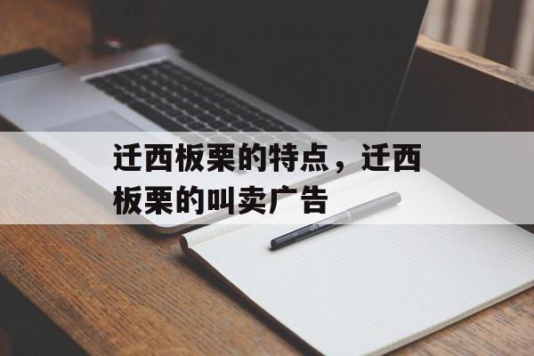 迁西板栗的特点，迁西板栗的叫卖广告-第1张图片-