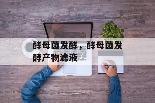 酵母菌发酵，酵母菌发酵产物滤液-第1张图片-