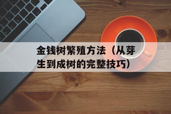 金钱树繁殖方法（从芽生到成树的完整技巧）-第1张图片-