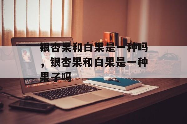 银杏果和白果是一种吗，银杏果和白果是一种果子吗-第1张图片-