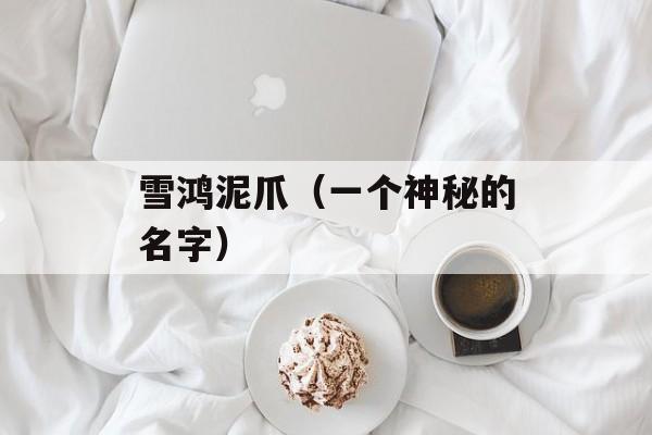 雪鸿泥爪（一个神秘的名字）-第1张图片-