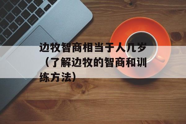 边牧智商相当于人几岁（了解边牧的智商和训练方法）-第1张图片-