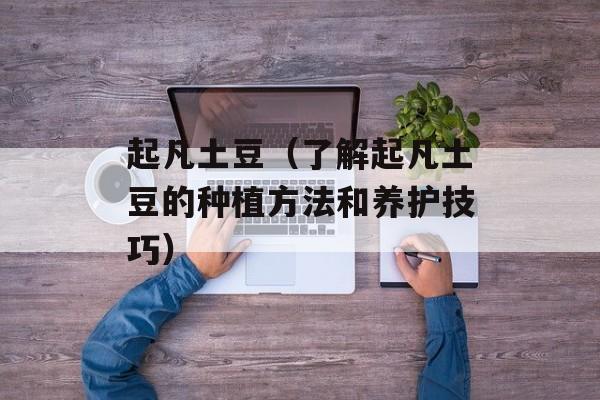 起凡土豆（了解起凡土豆的种植方法和养护技巧）-第1张图片-