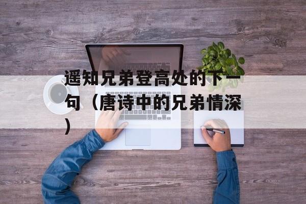 遥知兄弟登高处的下一句（唐诗中的兄弟情深）-第1张图片-