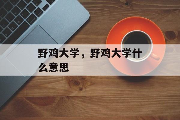 野鸡大学，野鸡大学什么意思-第1张图片-