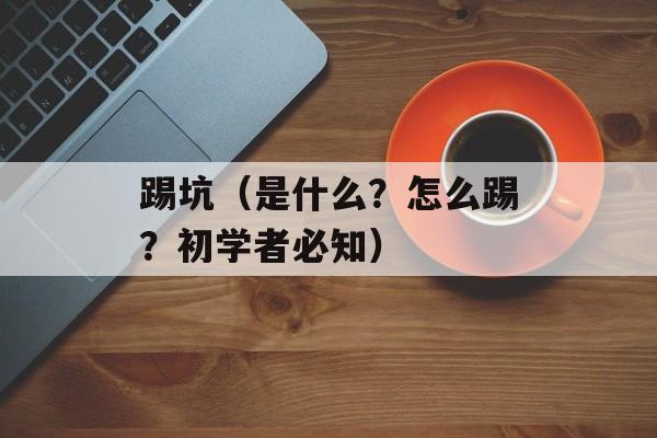 踢坑（是什么？怎么踢？初学者必知）-第1张图片-
