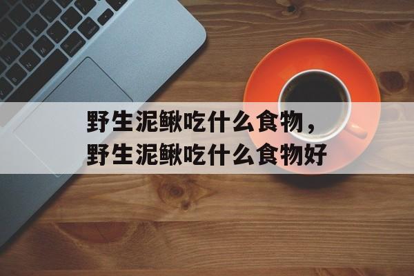野生泥鳅吃什么食物，野生泥鳅吃什么食物好-第1张图片-